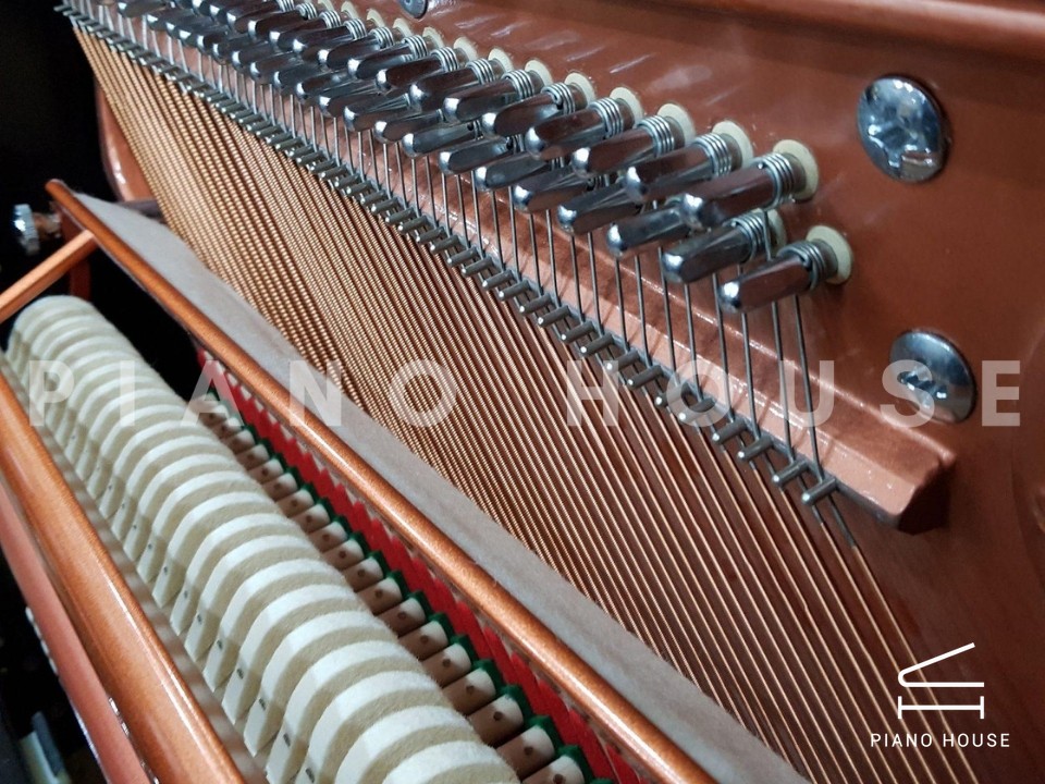 FEURICH 115 Premiere (White Polished)