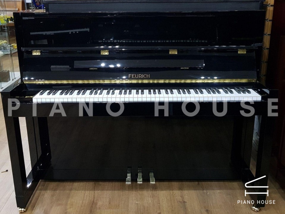 FEURICH 115 Premiere (Black Polished)