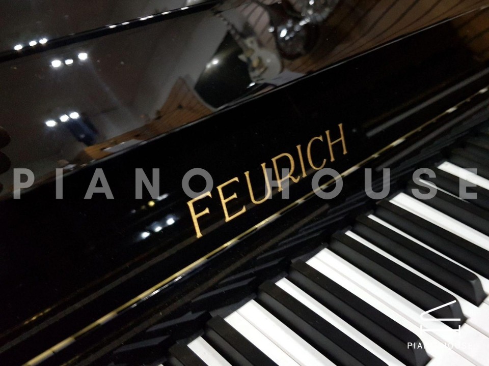 FEURICH 115 Premiere (Black Polished)