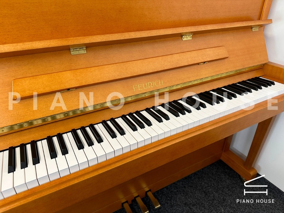 FEURICH 122 Universal (Cherry Satin)