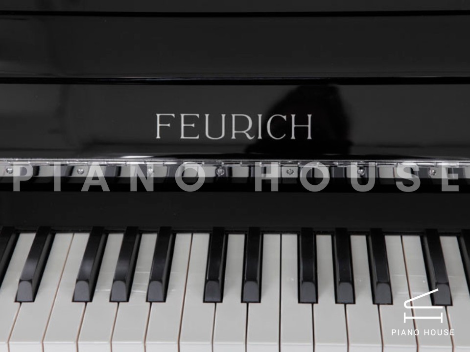 FEURICH 122 Universal (Black Polished - Chrome)