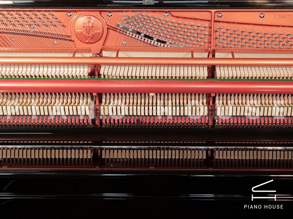 FEURICH 122 Universal (Black Polished - Chrome)