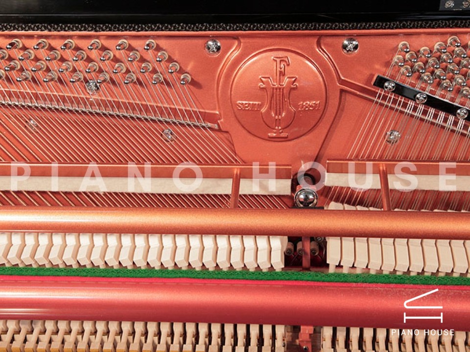 FEURICH 122 Universal (Black Polished - Chrome)