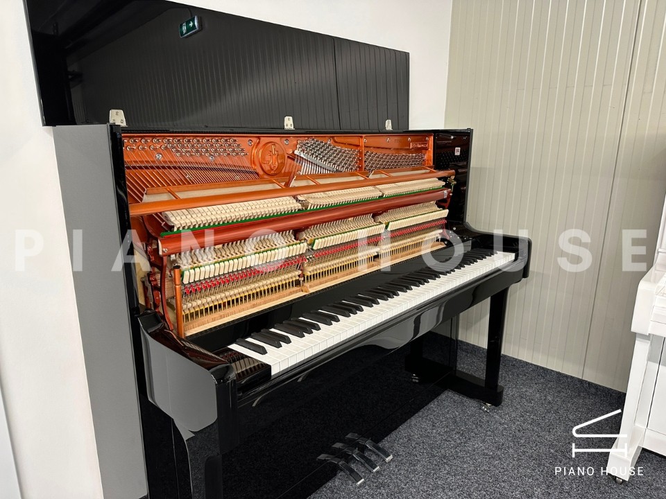 FEURICH 122 Universal (Black Polished - Chrome)