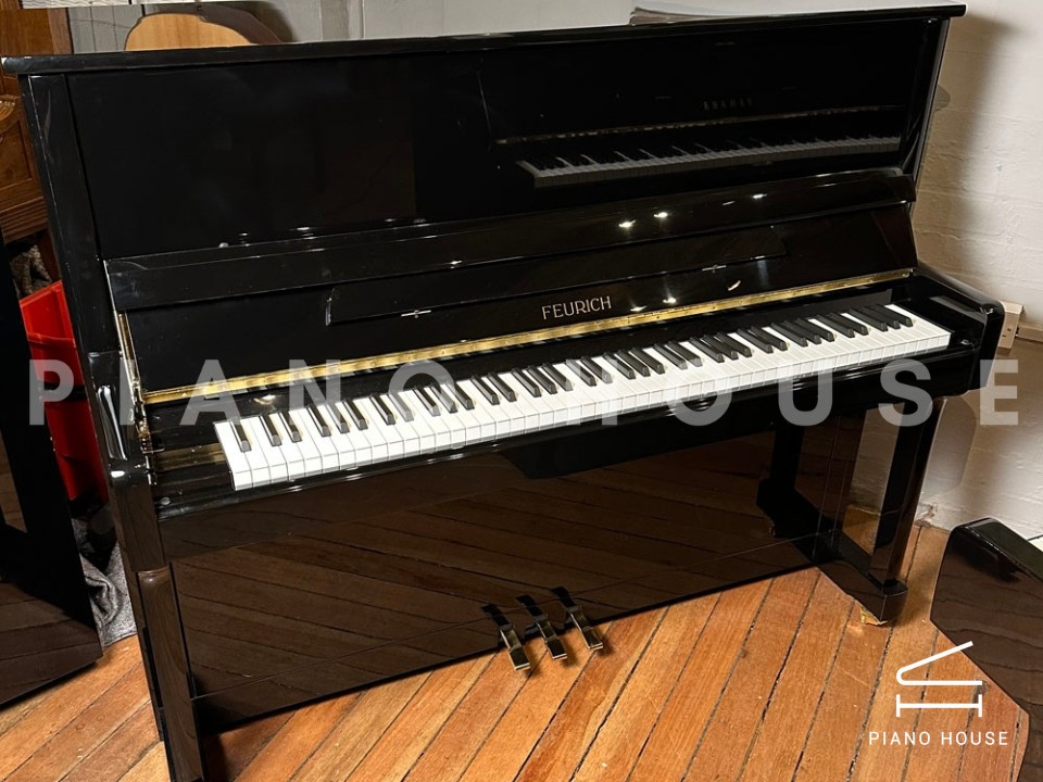 FEURICH 122 Universal (Black Polished - Brass)