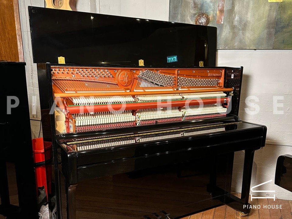 FEURICH 122 Universal (Black Polished - Brass)