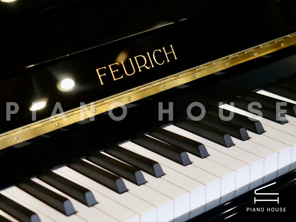 FEURICH 122 Universal (Black Polished - Brass)