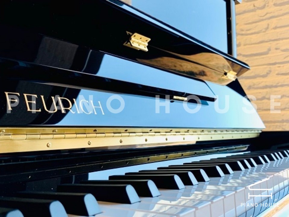 FEURICH 122 Universal (Black Polished - Brass)