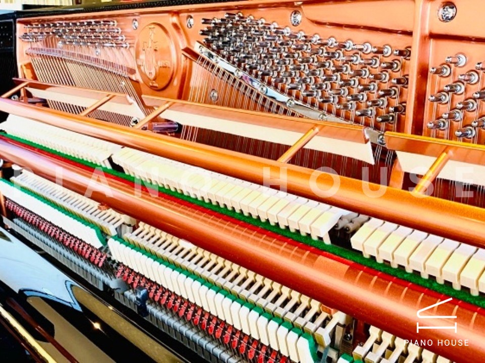 FEURICH 122 Universal (Black Polished - Brass)