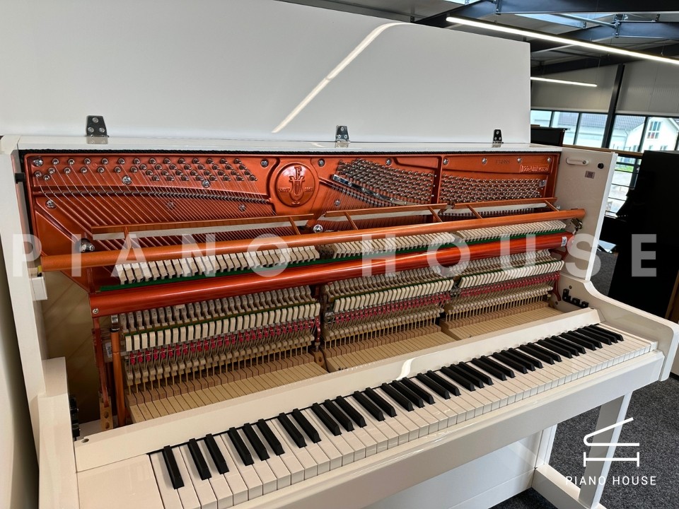 FEURICH 122 Universal (White Polished - Chrome)