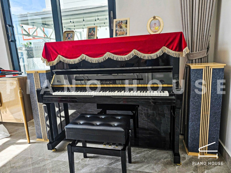 FEURICH 133 Concert (Black Polished)