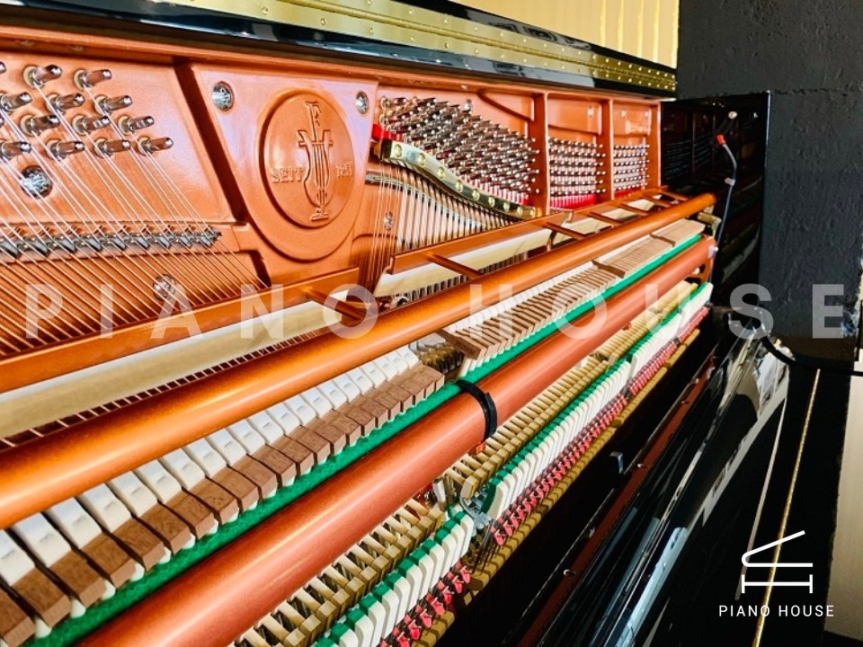 FEURICH 133 Concert (Black Polished)