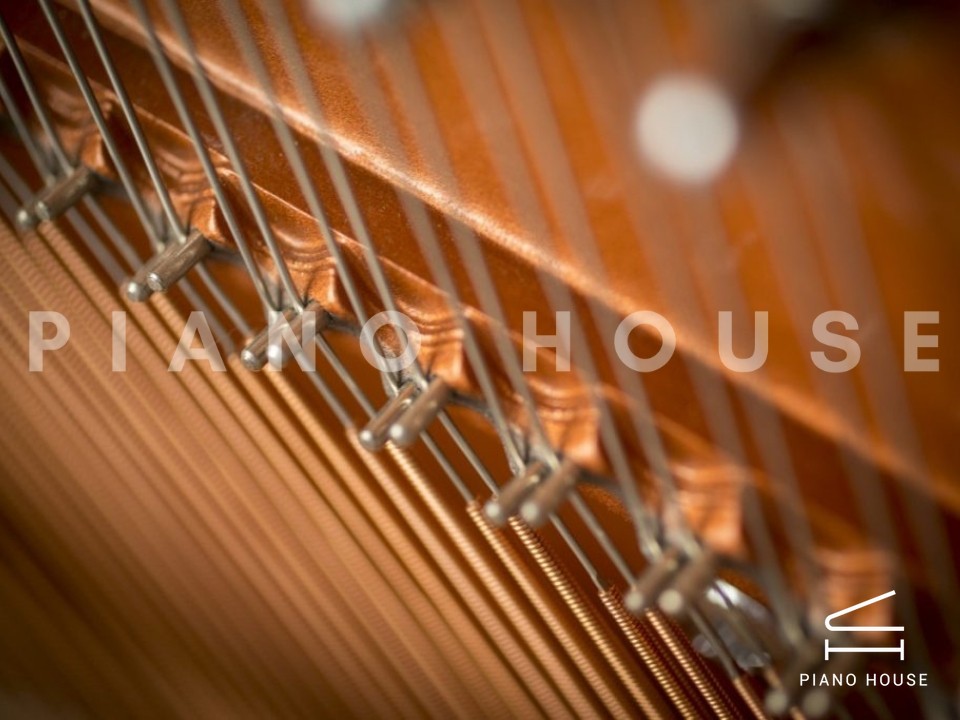 FEURICH 133 Concert (Black Polished)