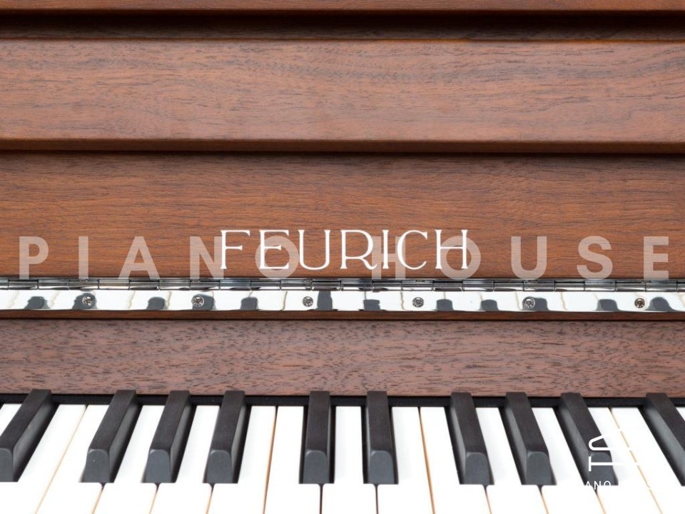 FEURICH 123 Vienna Modern (Made in Austria) - Special Edition