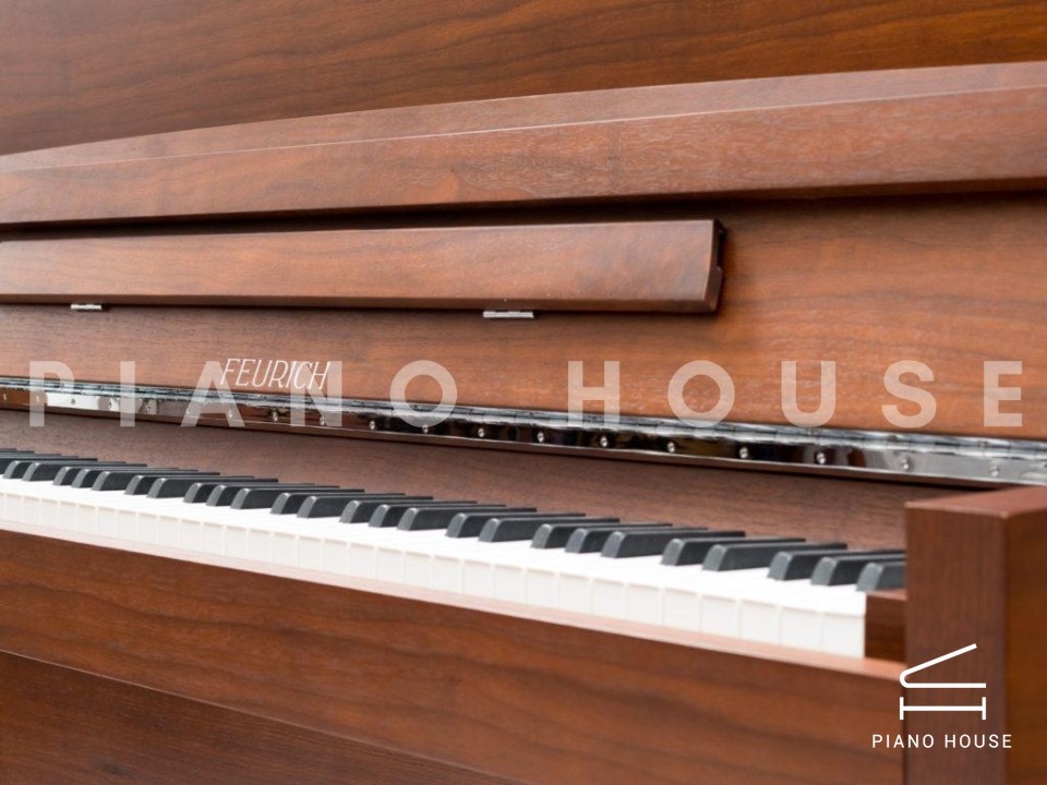 FEURICH 123 Vienna Modern (Made in Austria) - Special Edition