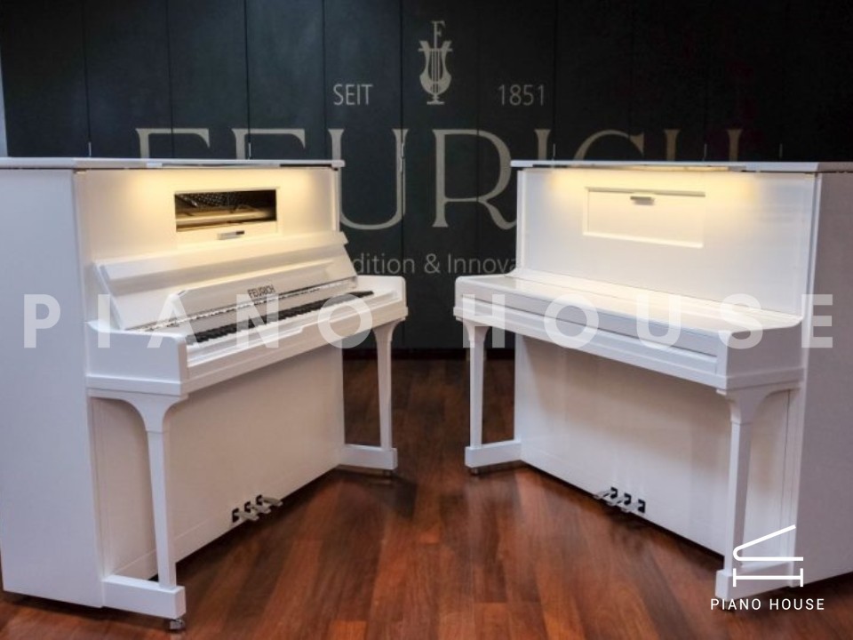 FEURICH 123 Vienna White Polish (Made in Austria)