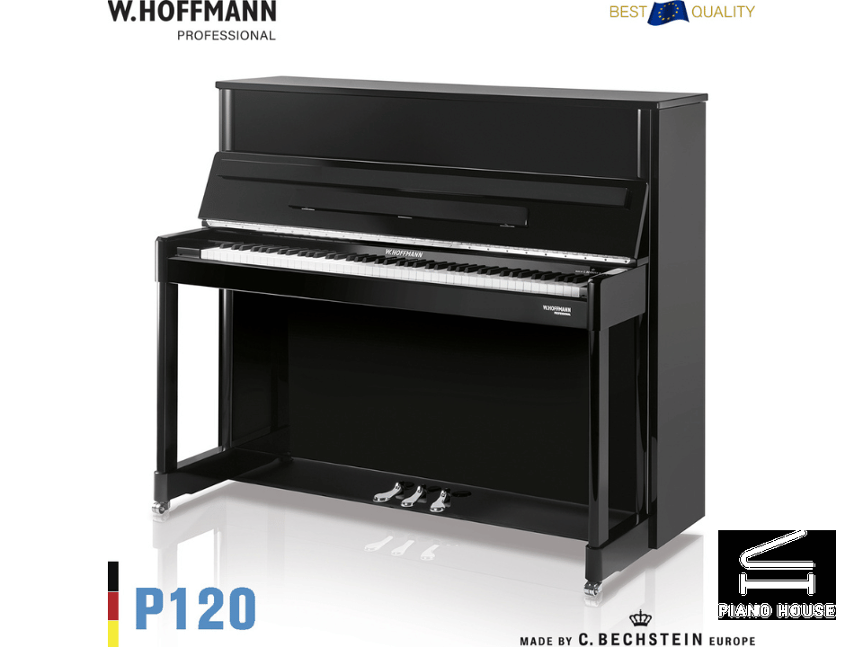 P120 (W.HOFFMANN PROFESSIONAL)
