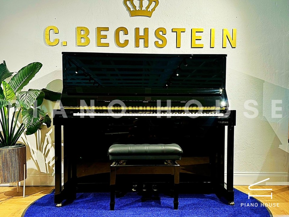 V8 (W.HOFFMANN VISION)