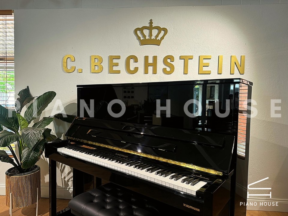 V8 (W.HOFFMANN VISION)