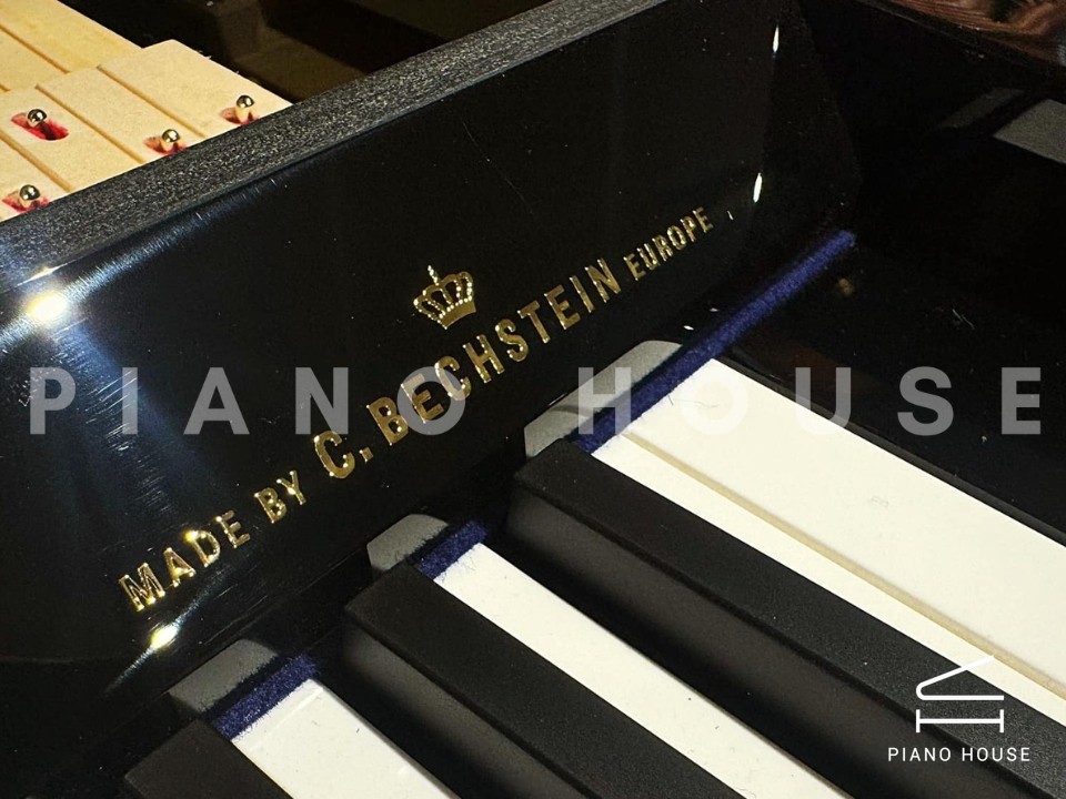 V8 (W.HOFFMANN VISION)