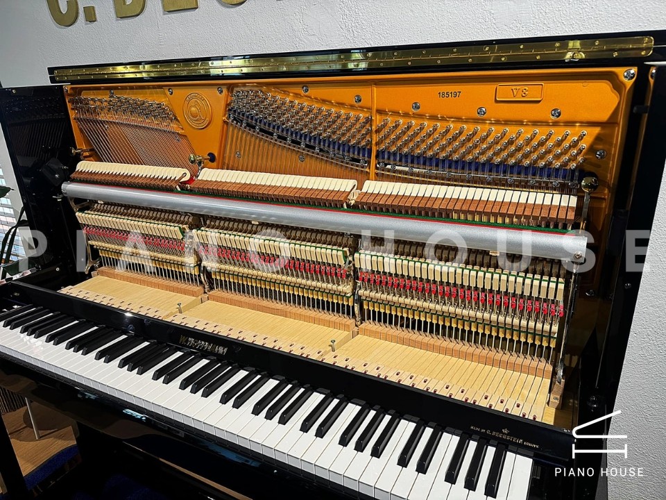 V8 (W.HOFFMANN VISION)