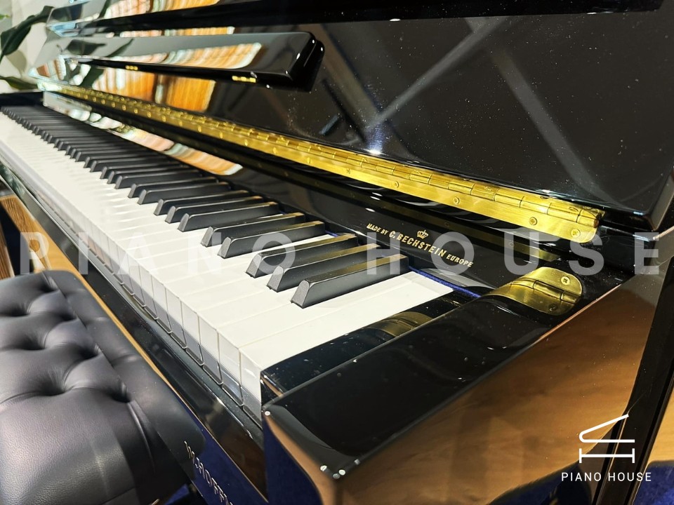 V8 (W.HOFFMANN VISION)