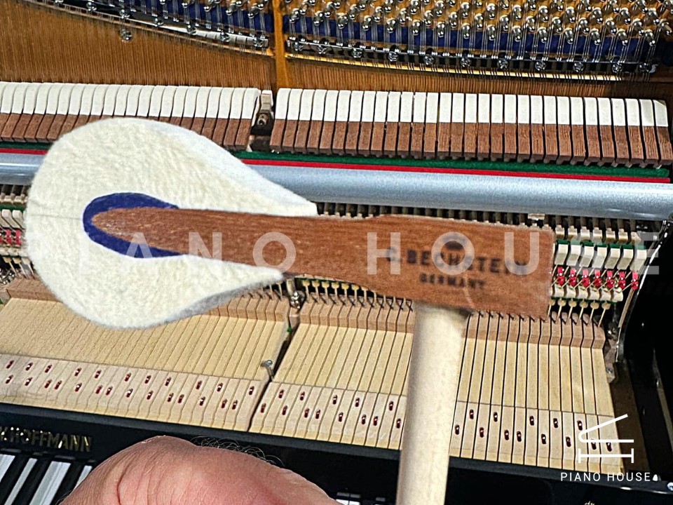 V8 (W.HOFFMANN VISION)