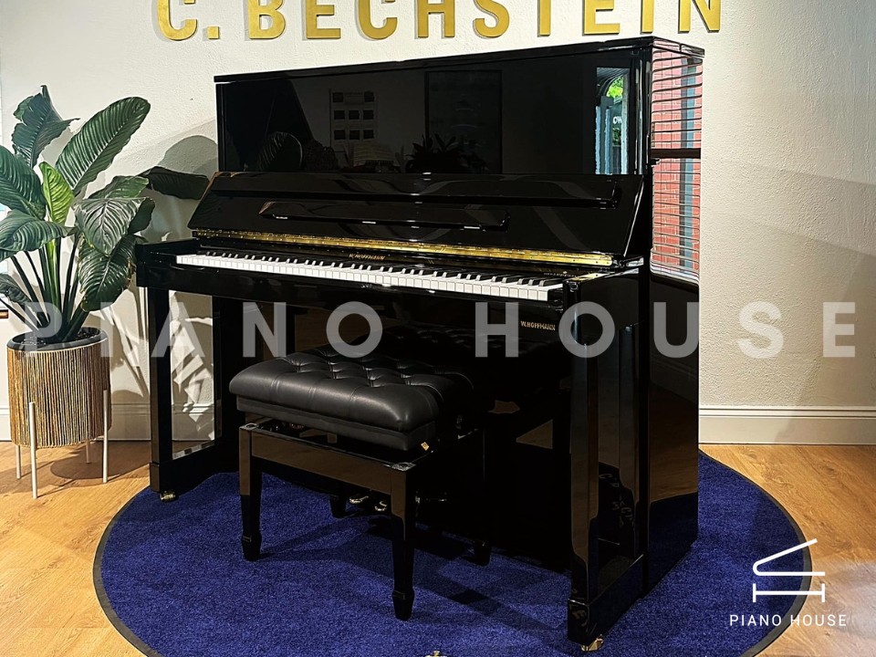 V8 (W.HOFFMANN VISION)