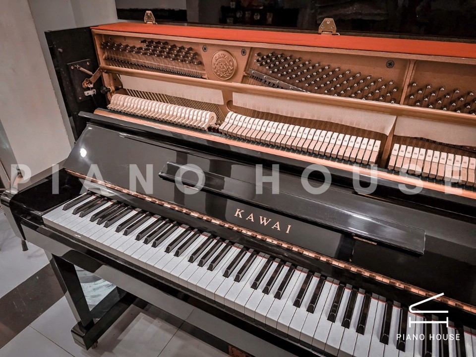 KAWAI DS-55 (Limited Edition)