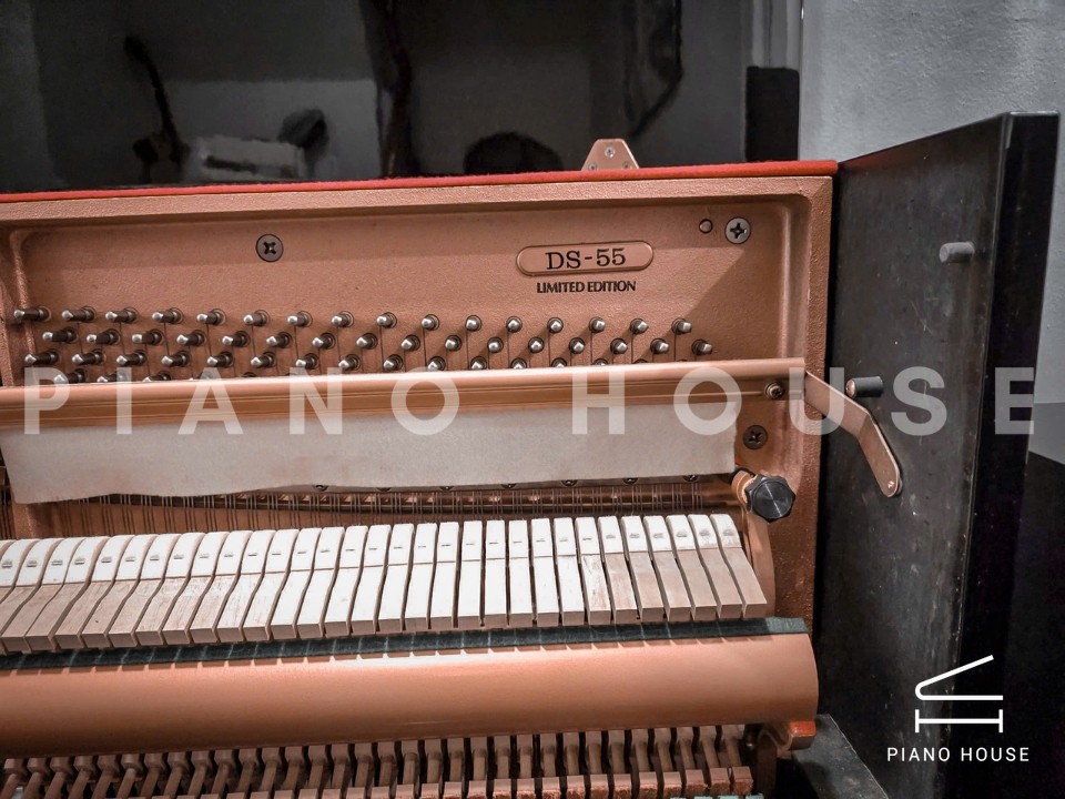 KAWAI DS-55 (Limited Edition)