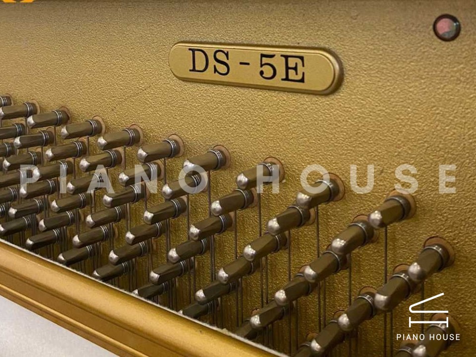 KAWAI DS-5E