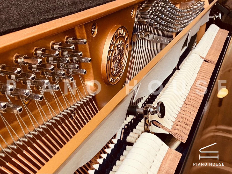 Ritmuller RS122 (Walnut Burl)