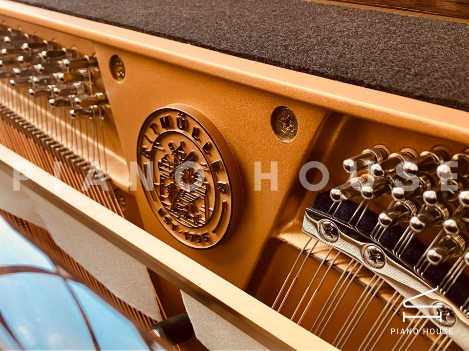 Ritmuller RS122 (Walnut Burl)