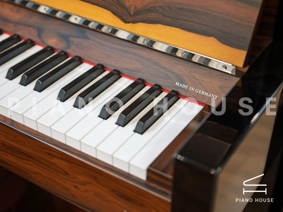 SE-126 ATTRACTION ZIRICOTE WOOD & POLISH EBONY