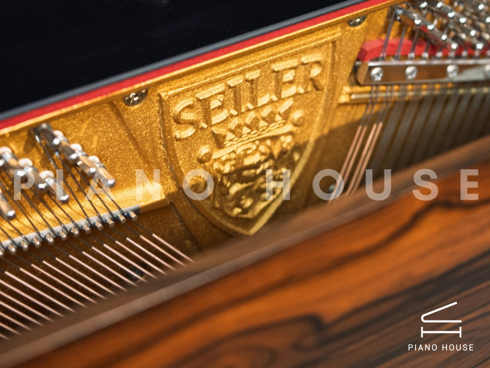 SE-126 ATTRACTION ZIRICOTE WOOD & POLISH EBONY