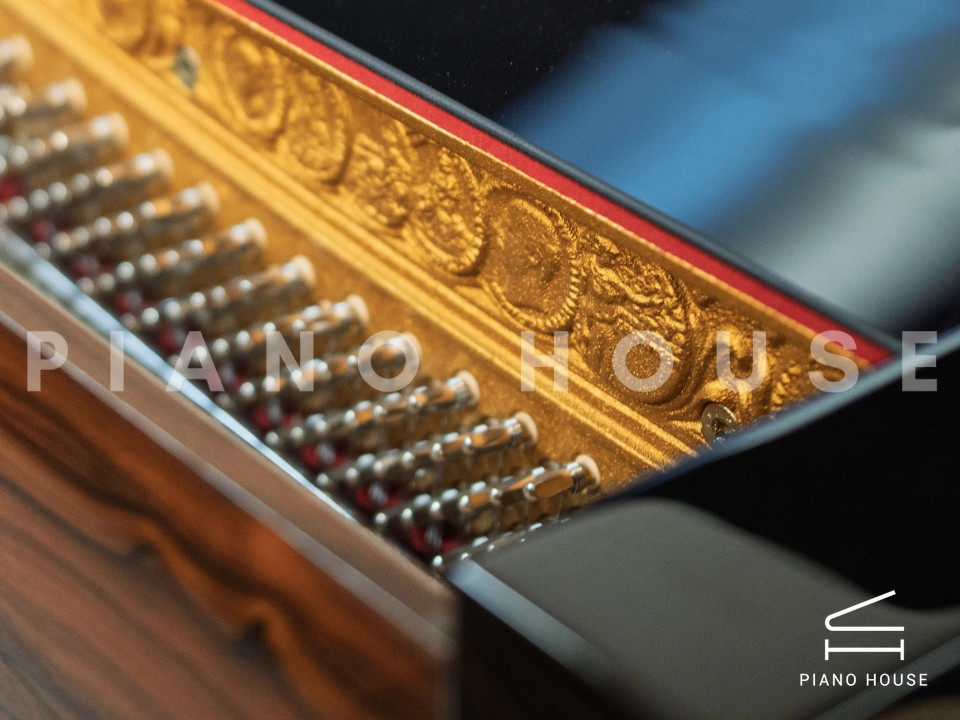 SE-126 ATTRACTION ZIRICOTE WOOD & POLISH EBONY