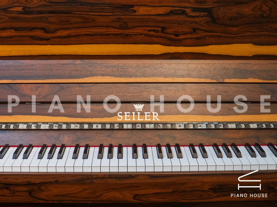 SE-126 ATTRACTION ZIRICOTE WOOD & POLISH EBONY