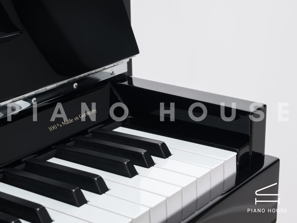 Sauter Accento Classico 116