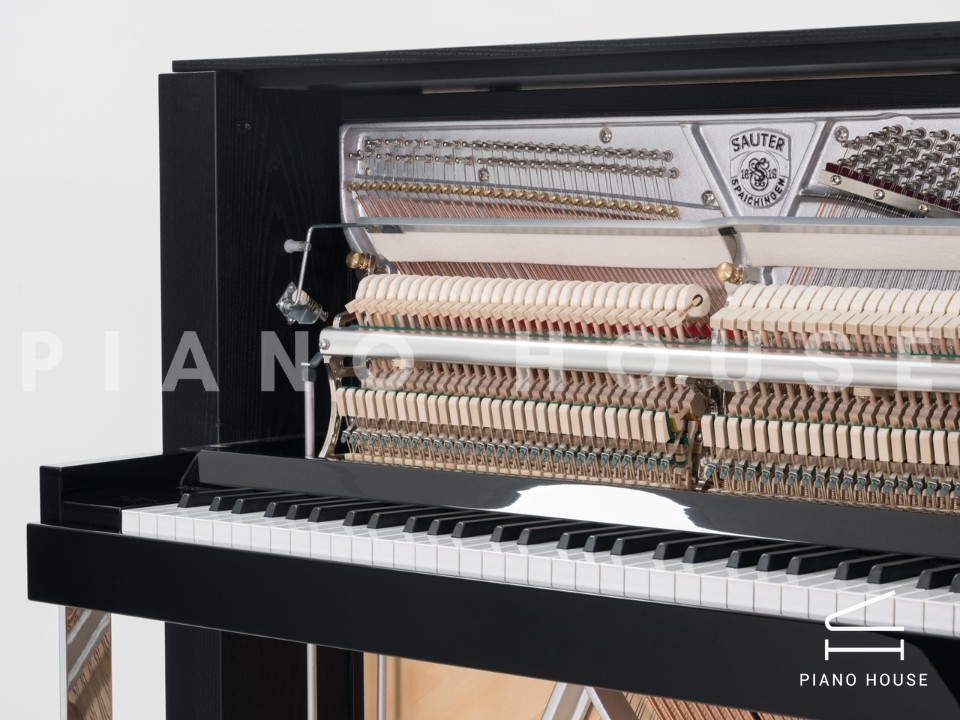 Sauter Accento Classico 116