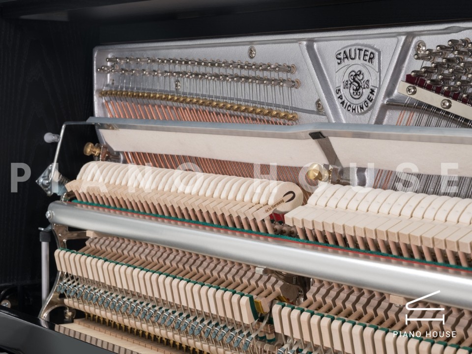 Sauter Accento Classico 116