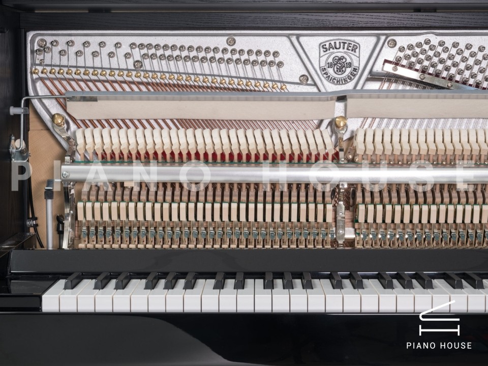 Sauter Accento Classico 116