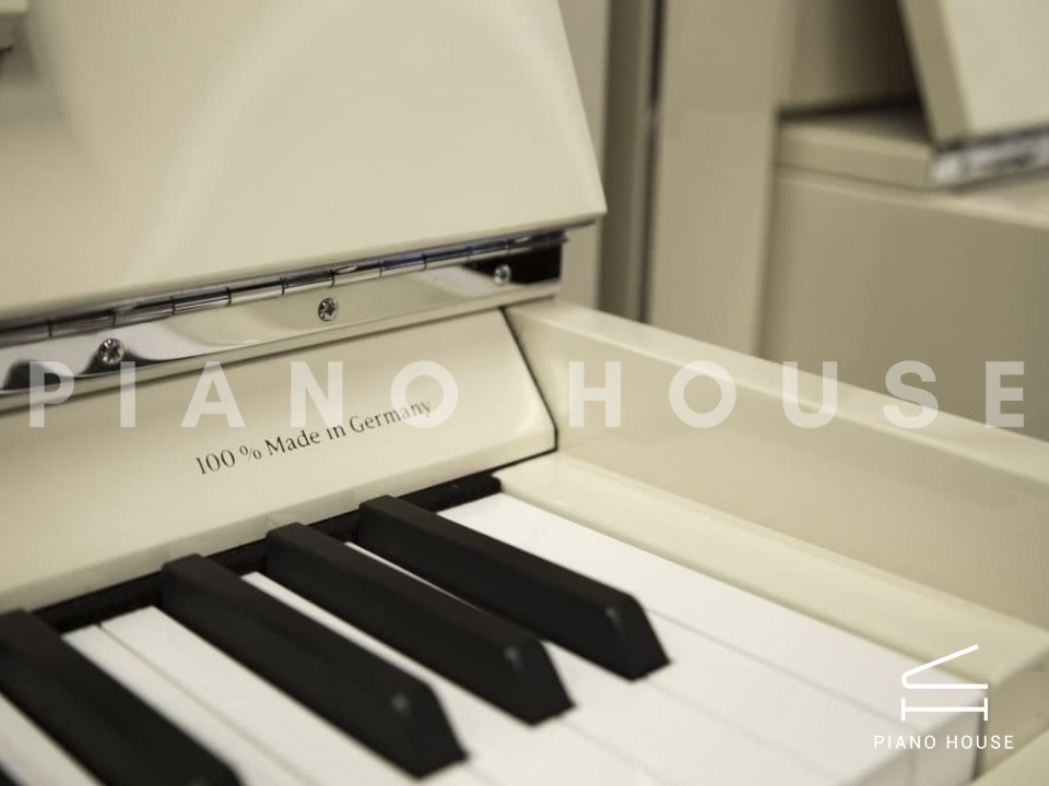 Sauter Pure Basic (Ivory Polished)