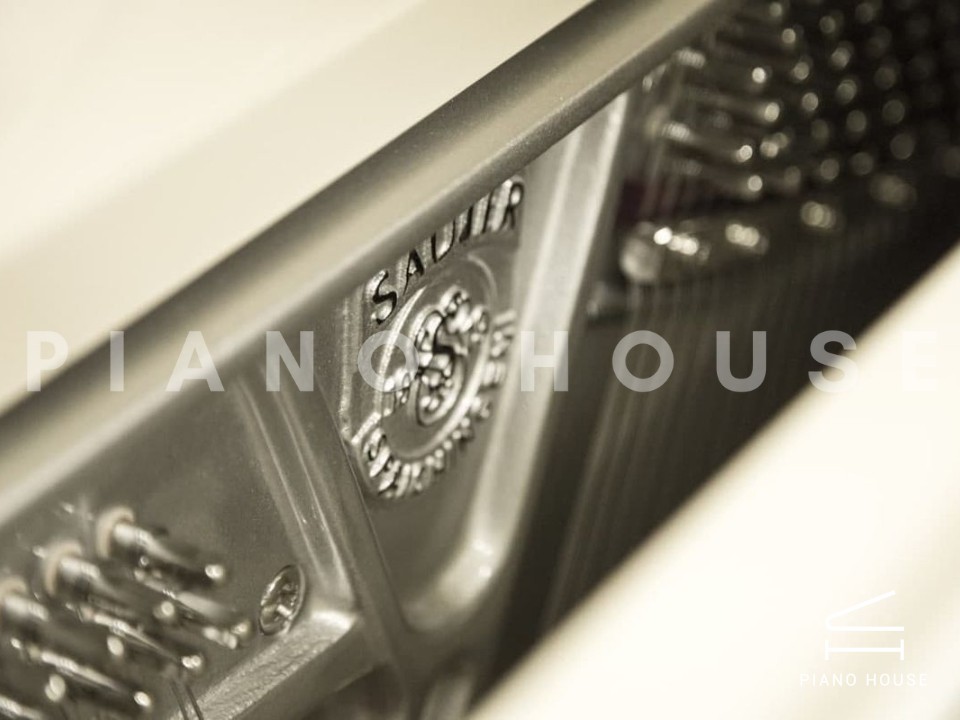 Sauter Pure Basic (Ivory Polished)