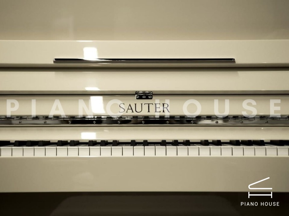 Sauter Pure Basic (Ivory Polished)