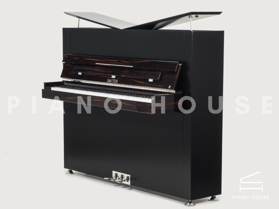 Sauter Pure Basic (Black Matte & Walnut)