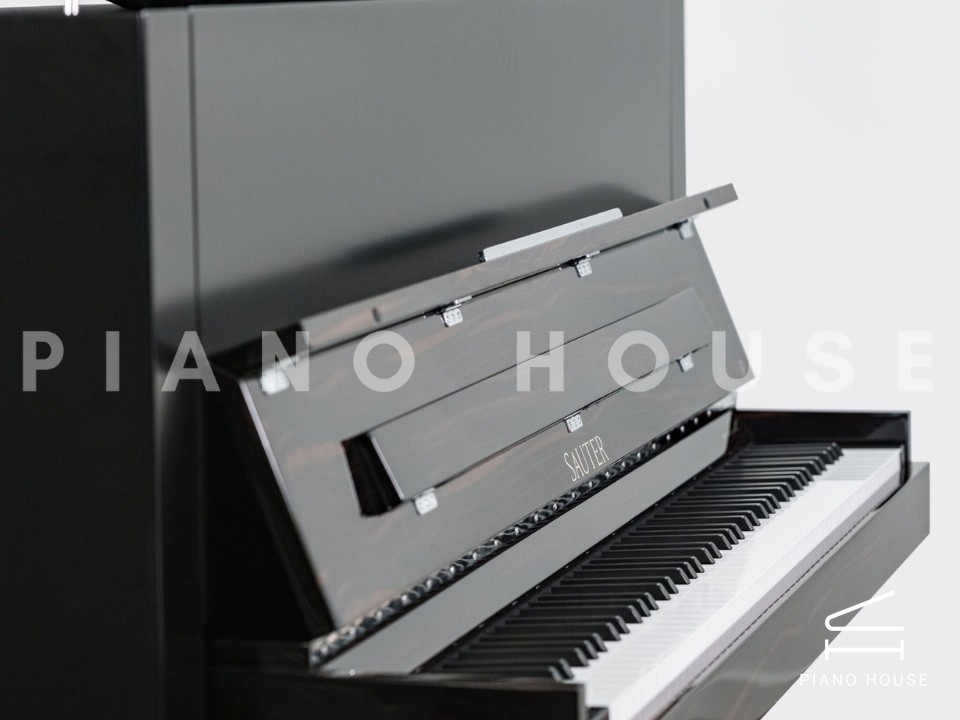 Sauter Pure Basic (Black Matte & Walnut)