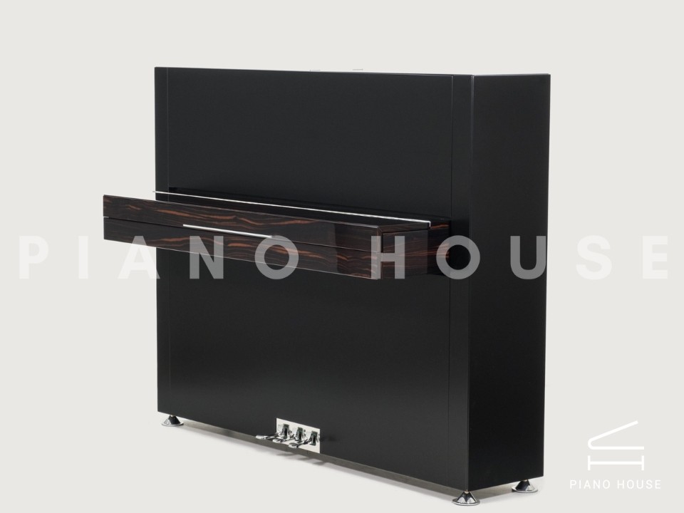 Sauter Pure Basic (Black Matte & Walnut)