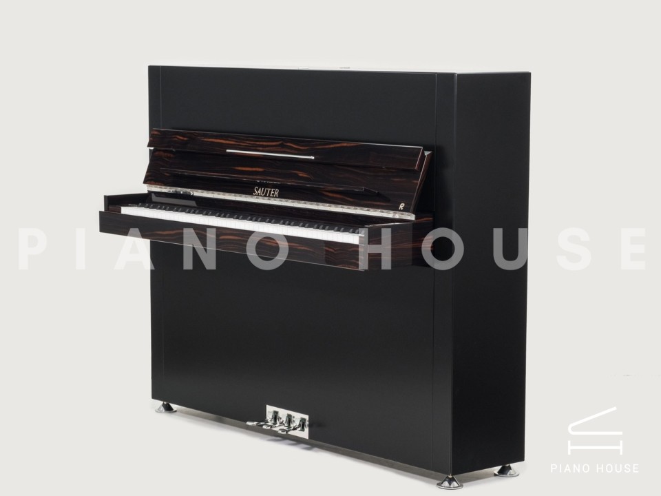 Sauter Pure Basic (Black Matte & Walnut)