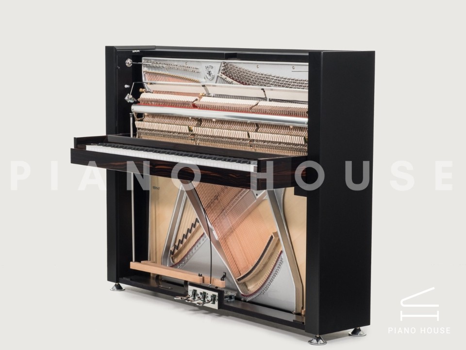 Sauter Pure Basic (Black Matte & Walnut)