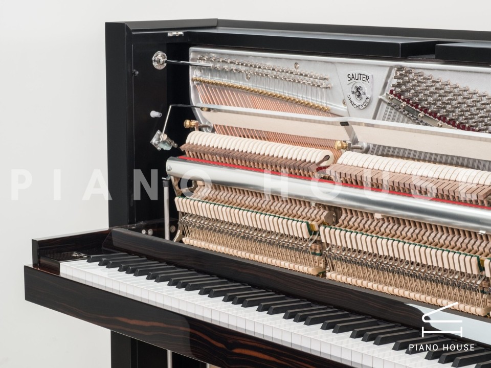 Sauter Pure Basic (Black Matte & Walnut)